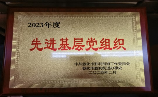 2024年2月1日，，，，，物业总公司敦化项目党支部被授予“2023年度先进下层党组织”声誉称呼_副本.jpg